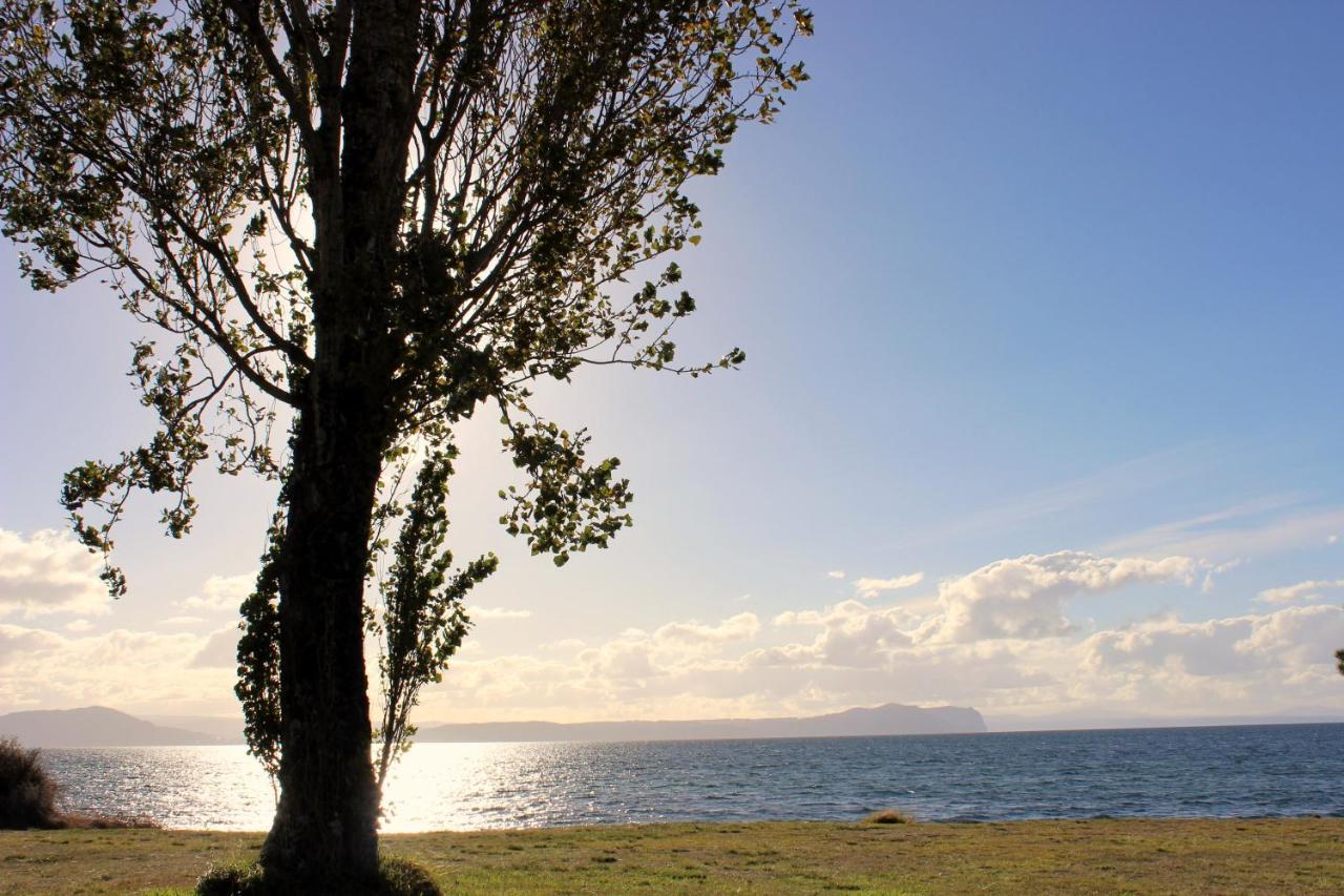 Bram'S Bach Willa Taupo Zewnętrze zdjęcie